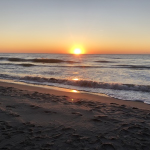 Fundraising Page: Margaret Kelly